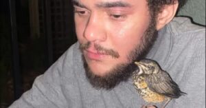 Minnesota community mourns sudden loss of Deshawn Williams